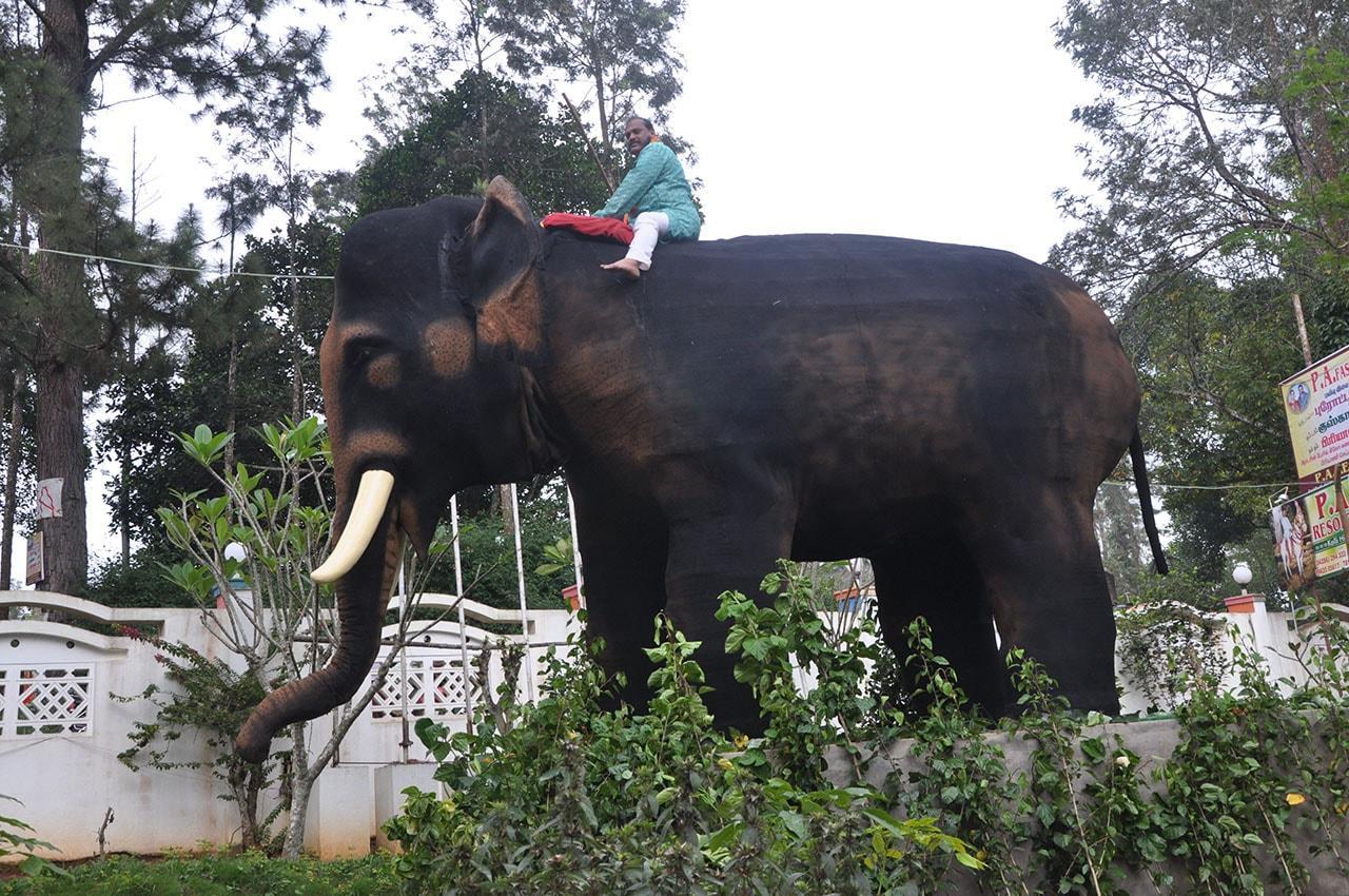 P A Resort Kolli Hills Esterno foto
