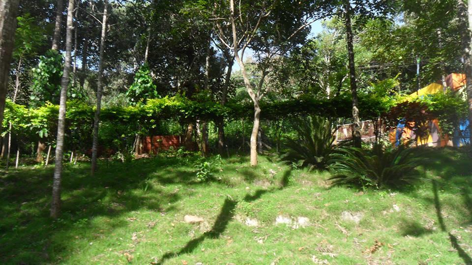P A Resort Kolli Hills Esterno foto